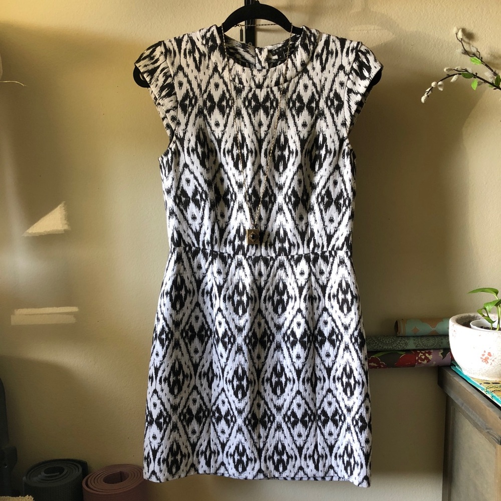 Theory dress